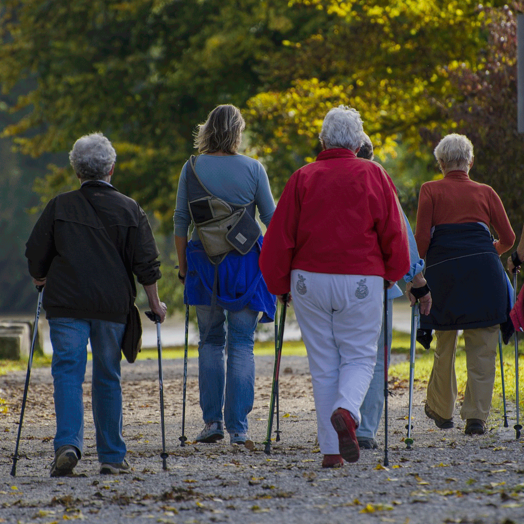 nordic-walking-1814784_1920-Bearbeitet